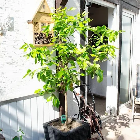 Haus Der Auszeit 180 Qm Fewo Inklusive Sauna